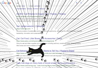 catcatcatcaaaaaaaaaaaaat gallery image