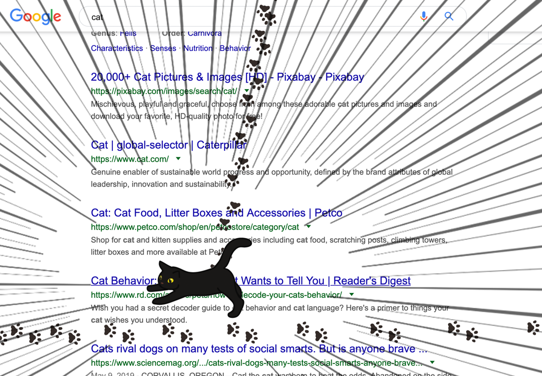 catcatcatcaaaaaaaaaaaaat Image