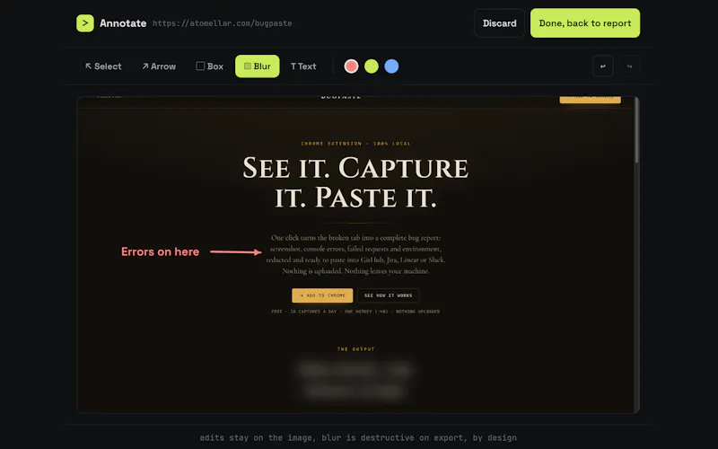 BugPaste screenshot 3
