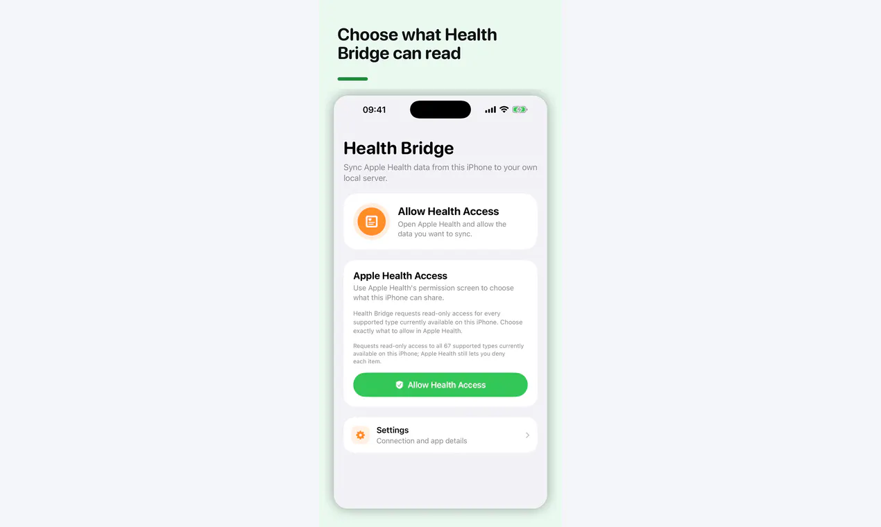 Apple Health AI Bridge gallery image