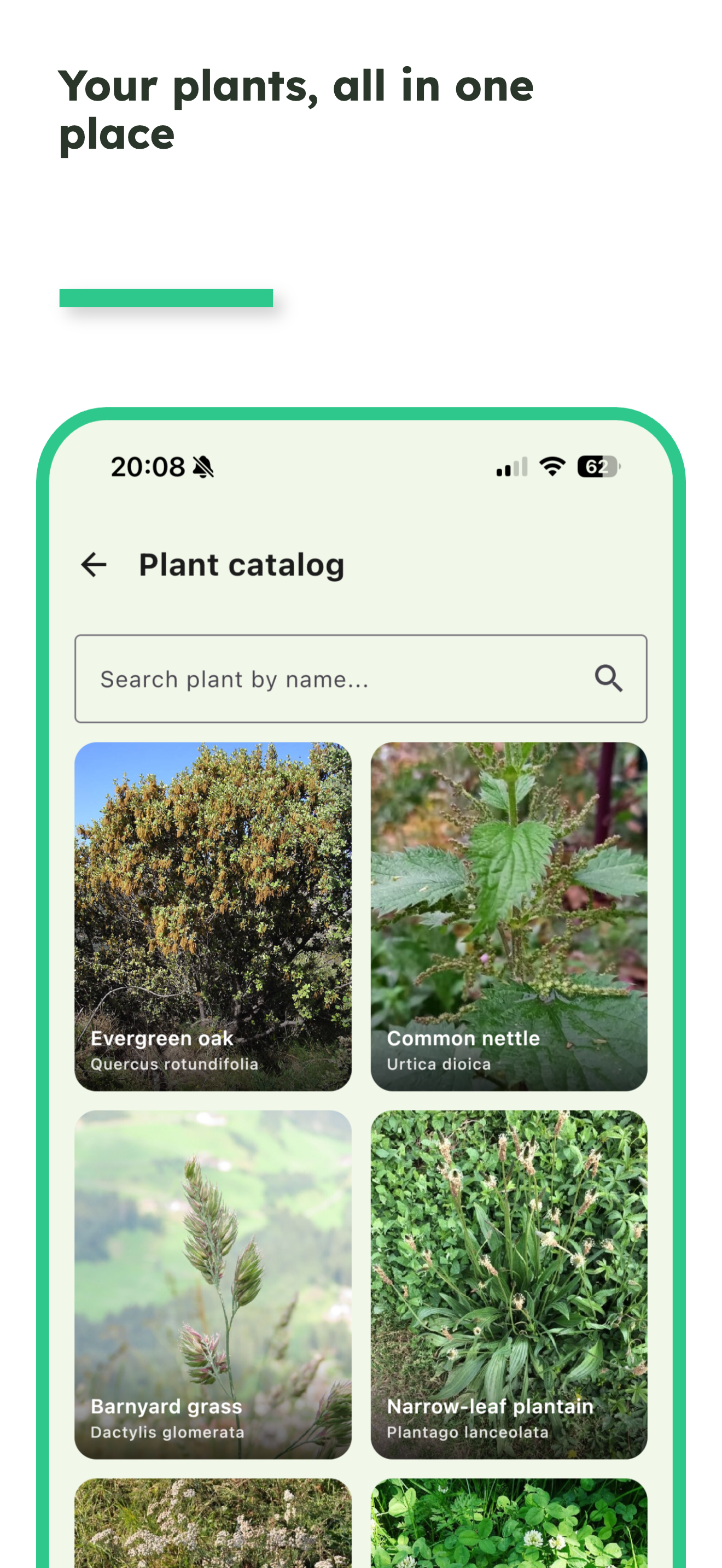 FloraAI gallery image