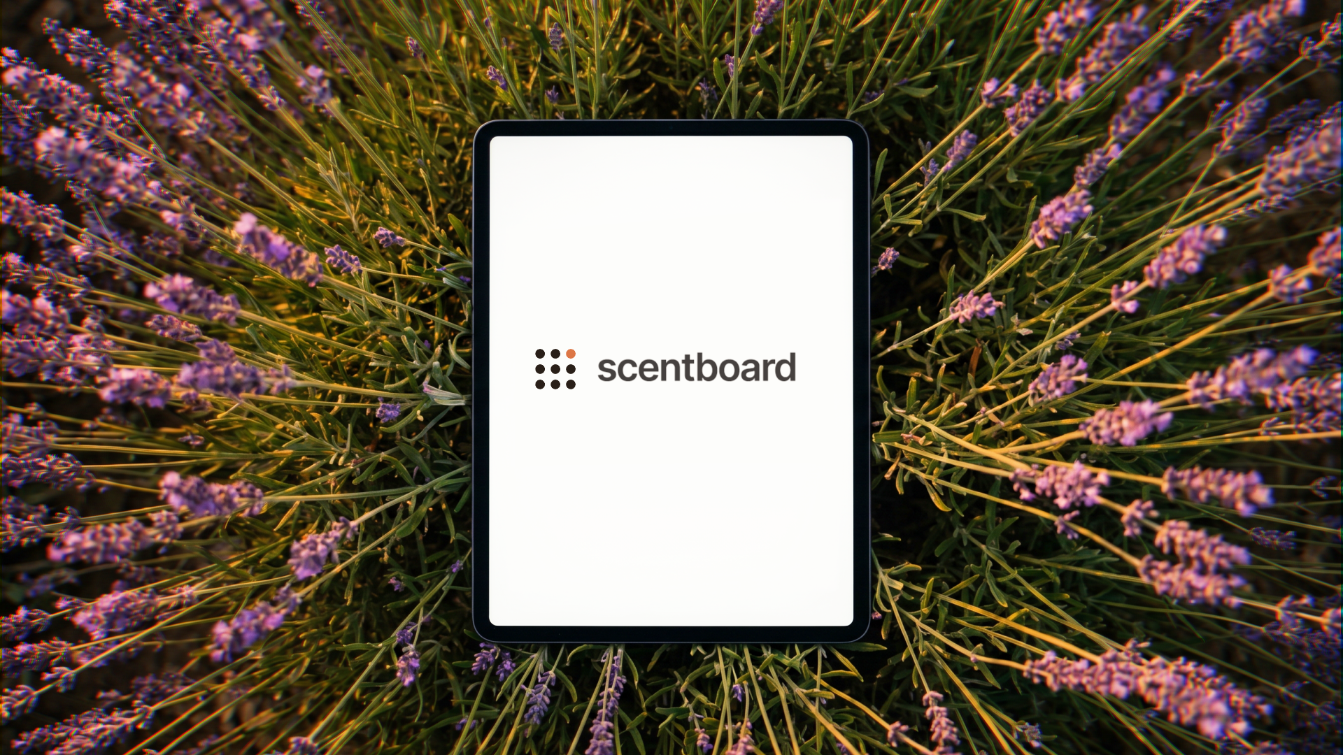 Scent Board gallery image