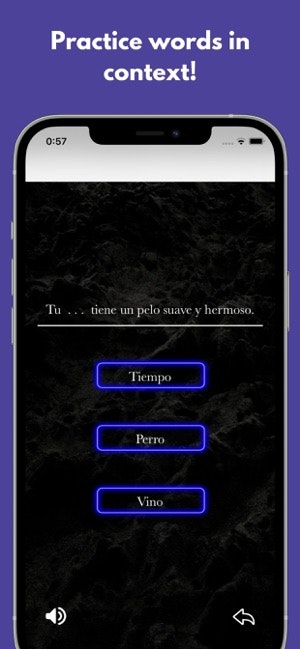 Spanish FlashVo gallery image