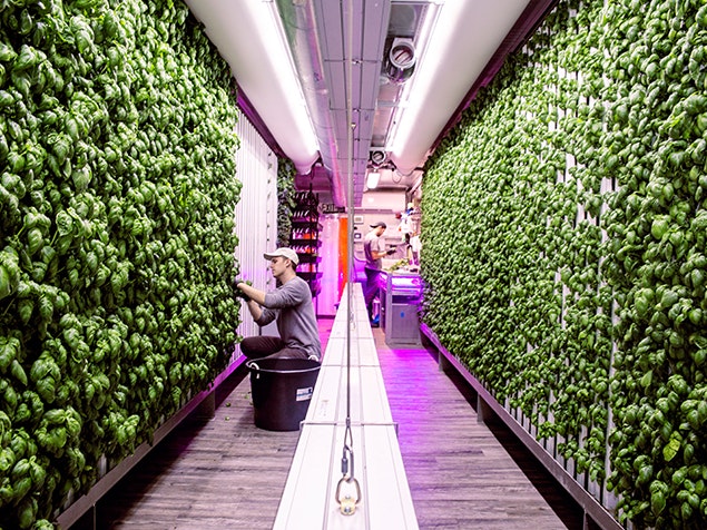 In Good Hands gallery image