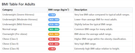 BMIcalculator.dev gallery image