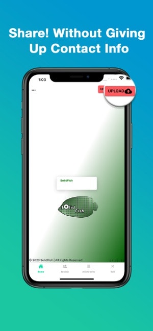 SolidFish gallery image