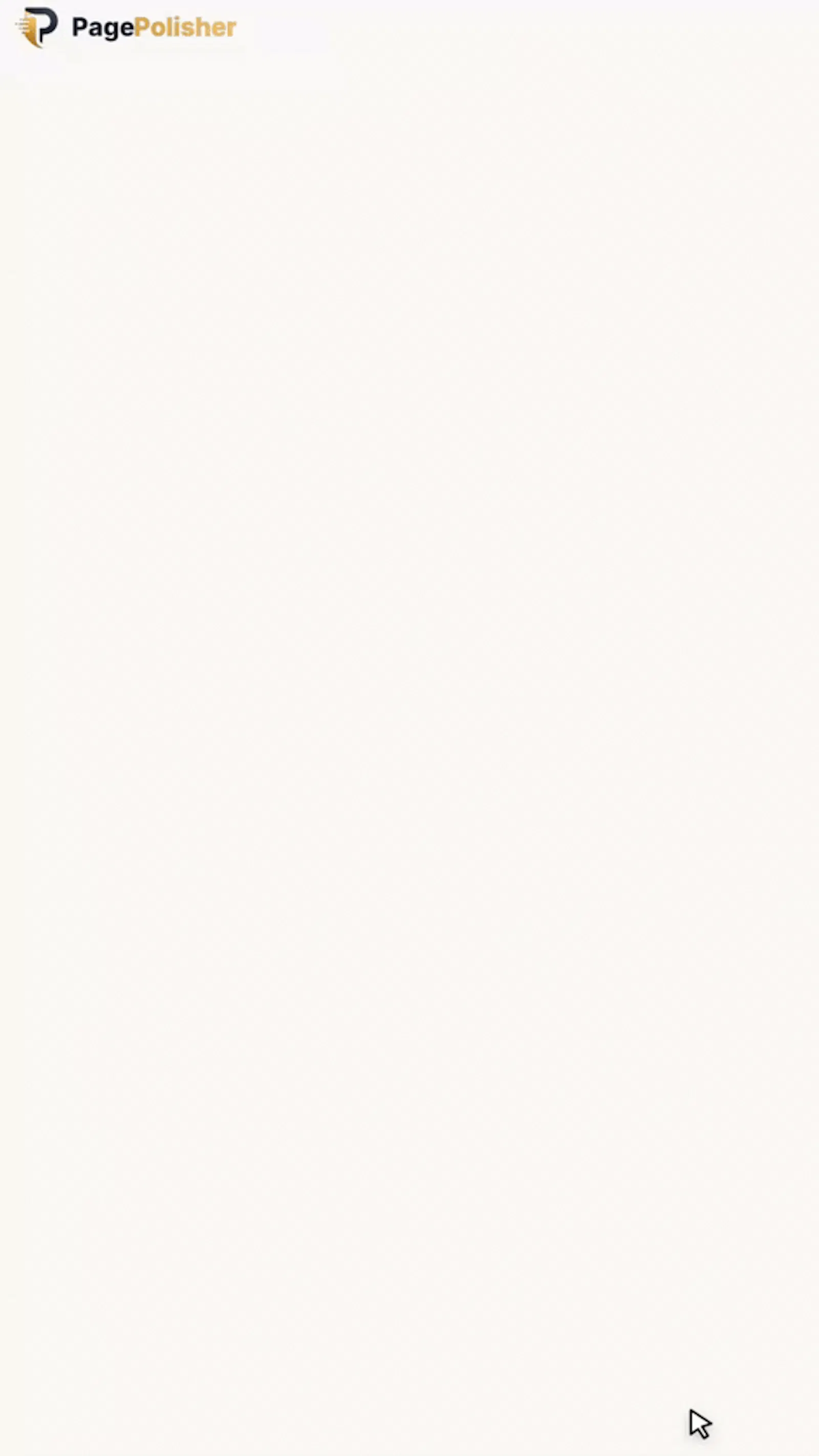 PagePolisher screenshot 1 (video preview)