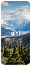 Gini Professional Coach gallery image