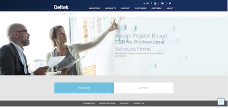 Deltek Vision gallery image