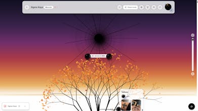 anonity gallery image