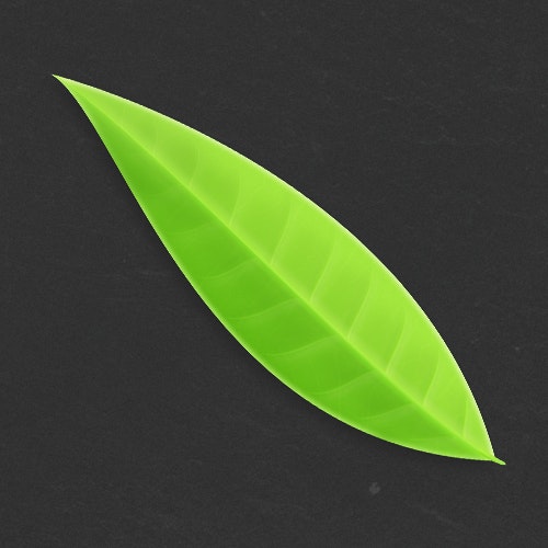 iOS Hat logo