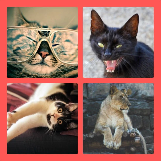 The Mother's Day Quiz