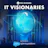 IT Visionaries