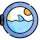 Cryptoshark