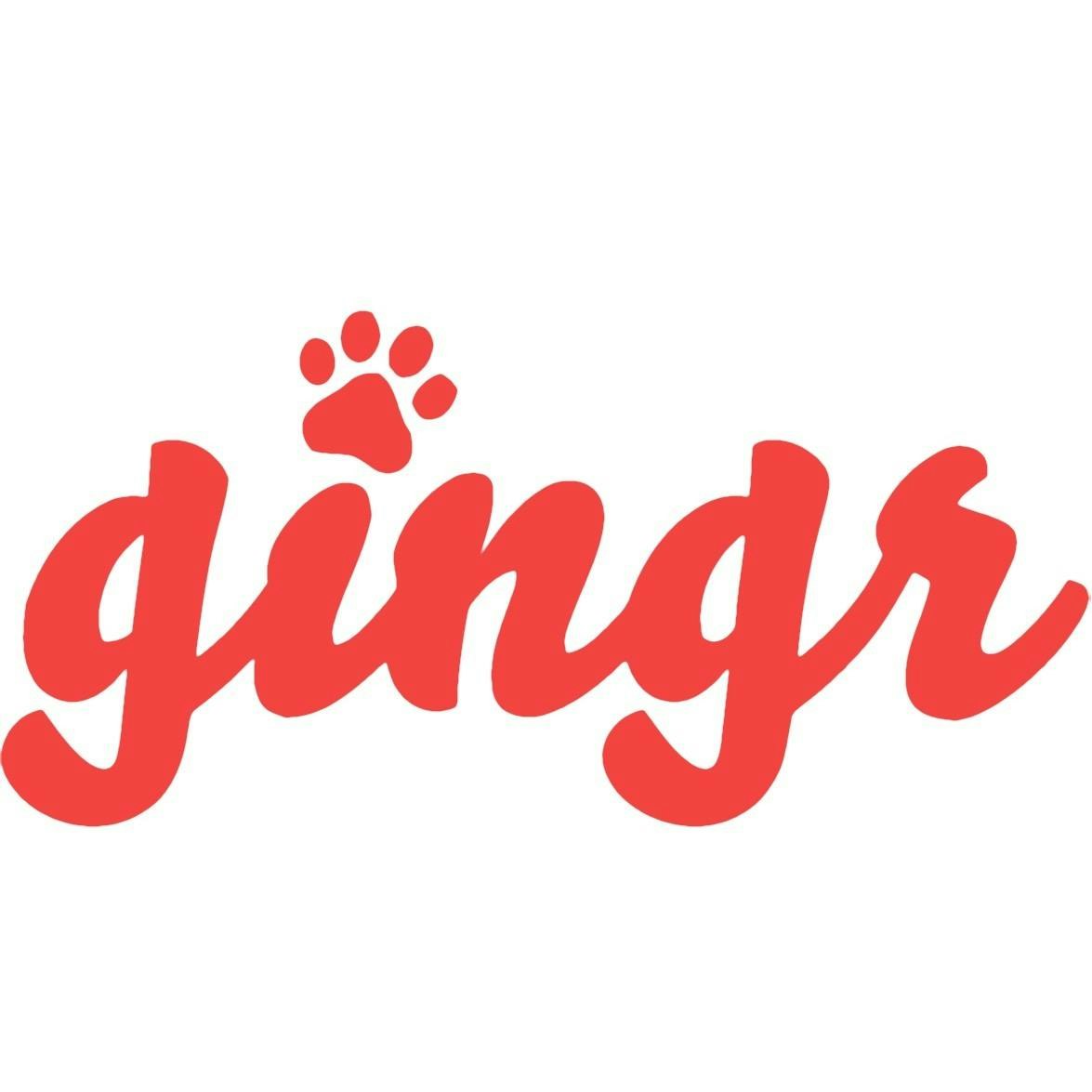 Gingr App