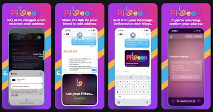 Pi9eon gallery image