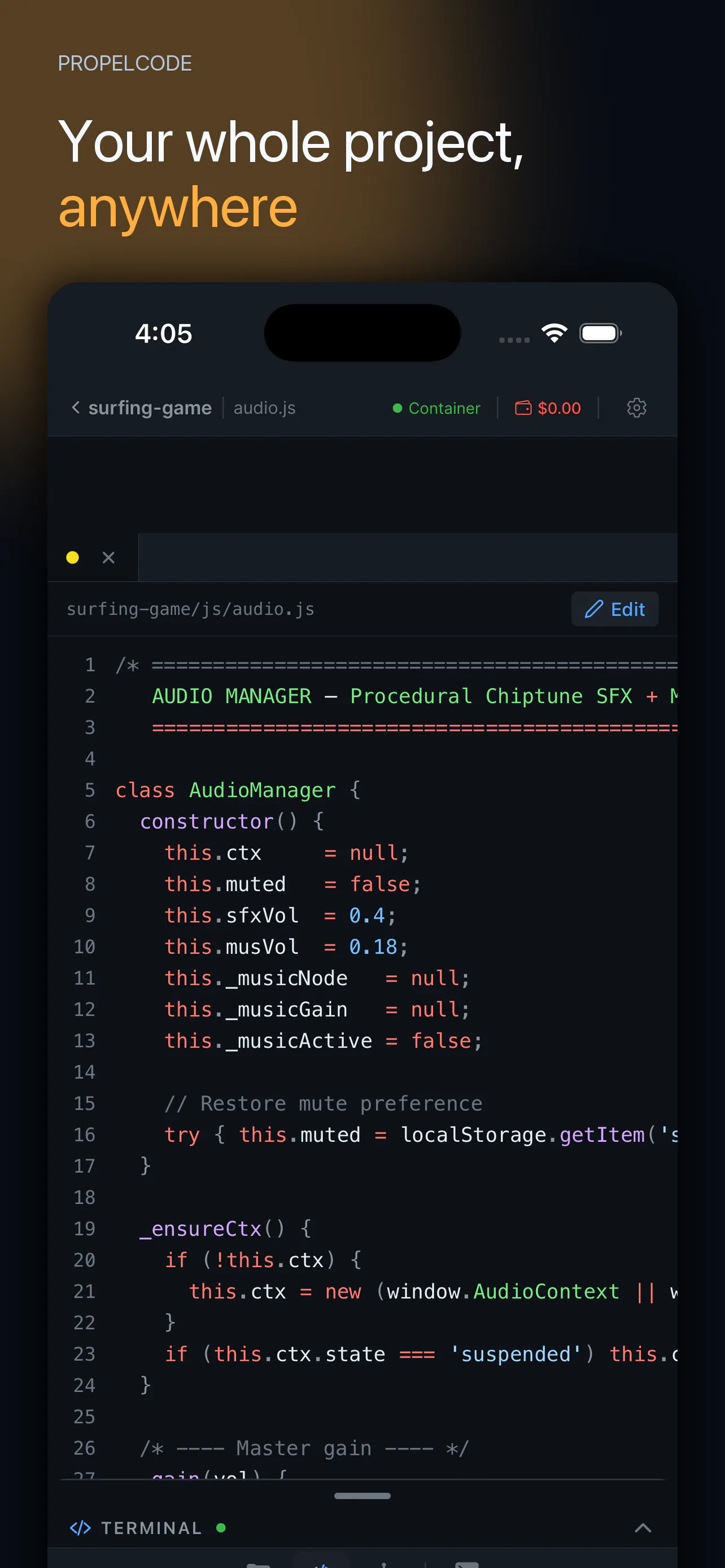 PropelCode: Your IDE, In Your Pocket gallery image