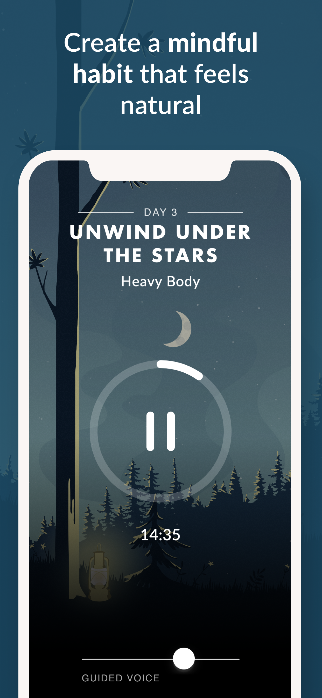 Wild Journey gallery image