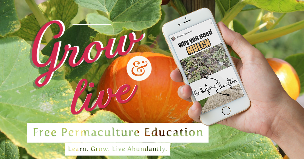 Perma ROCKS!!! gallery image