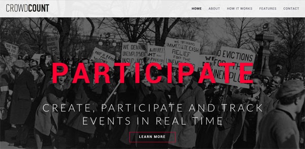 Crowd Count gallery image