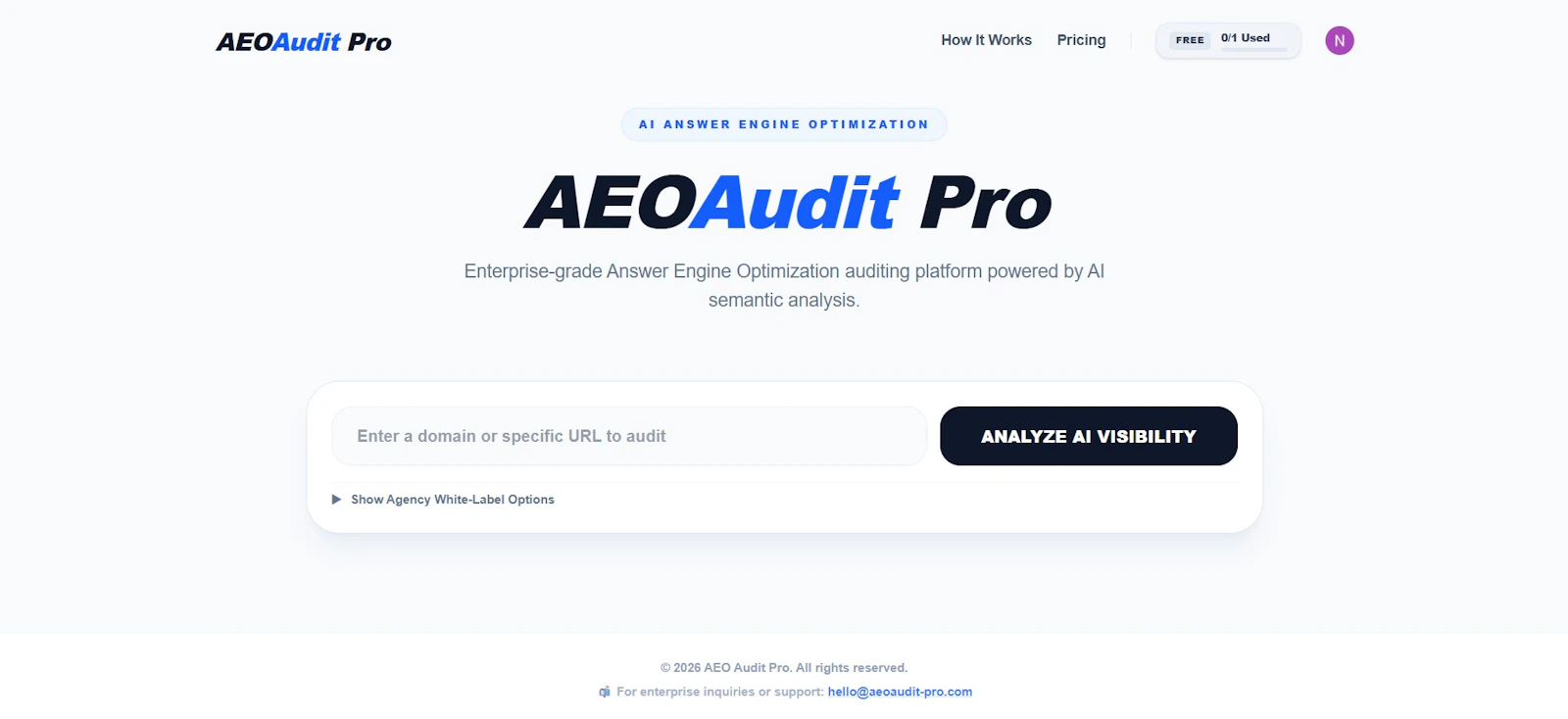 AEO Audit Pro screenshot 1
