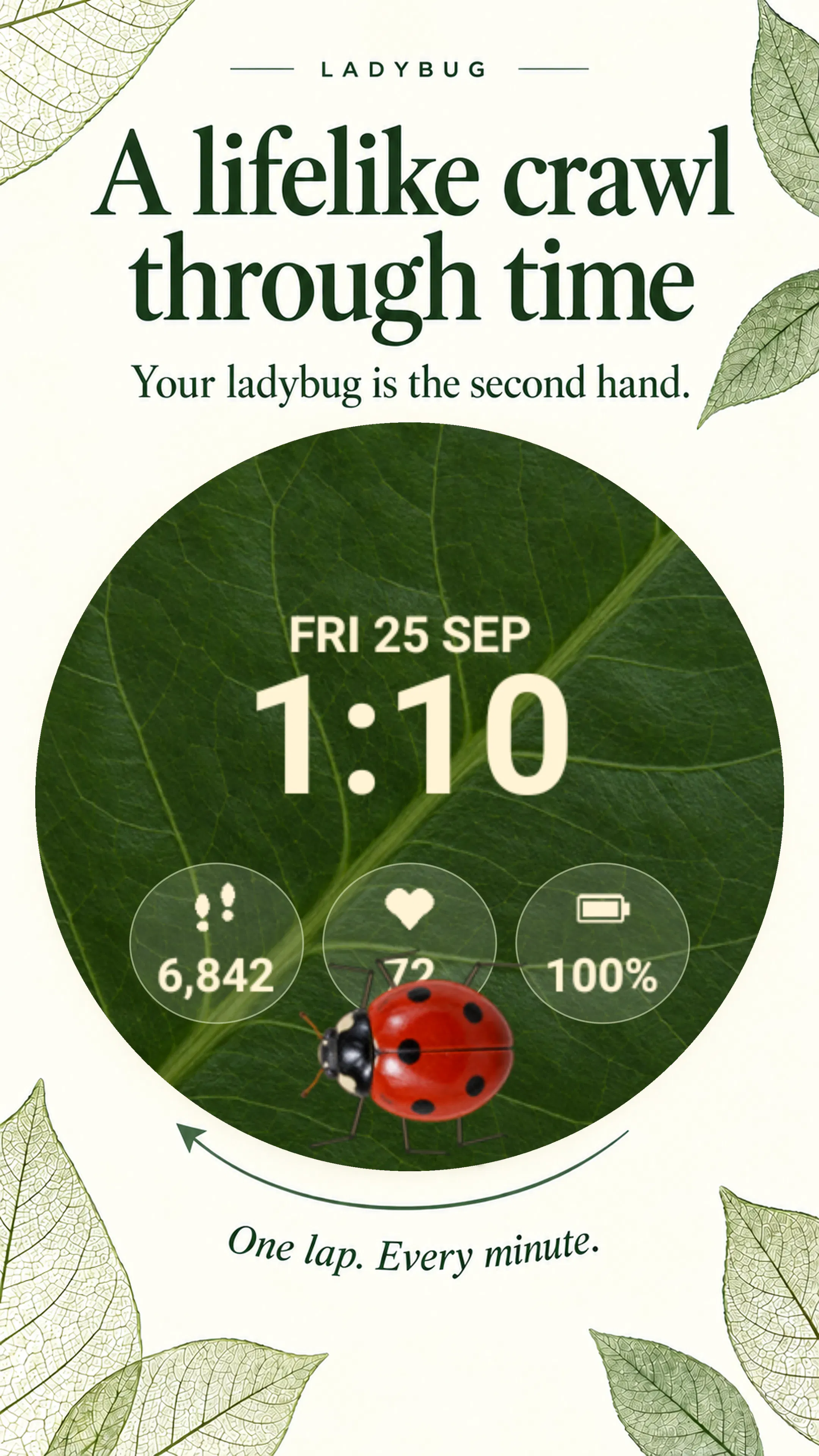 Ladybug Animated Wear OS Watch Face gallery image