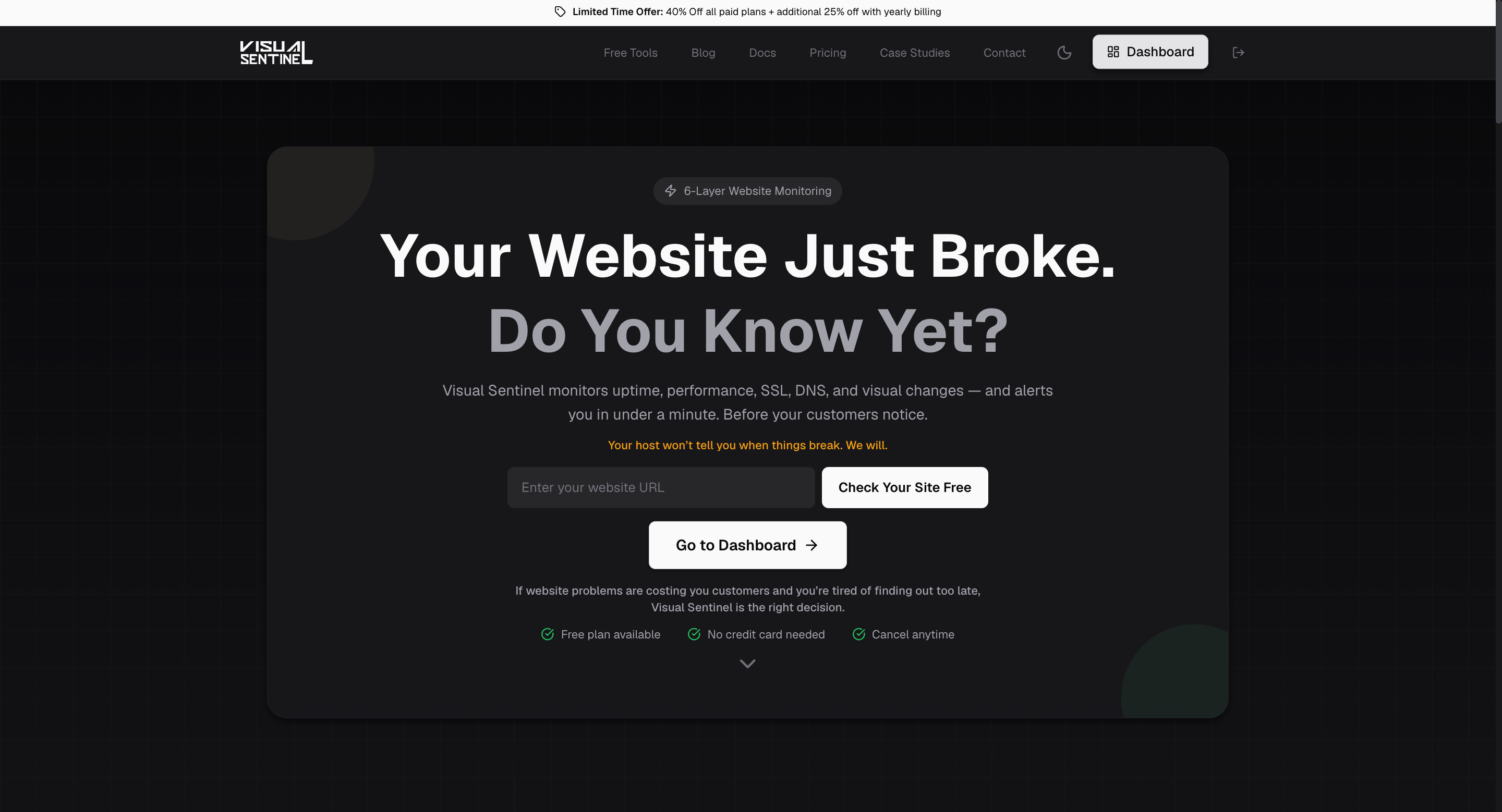 Visual Sentinel gallery image