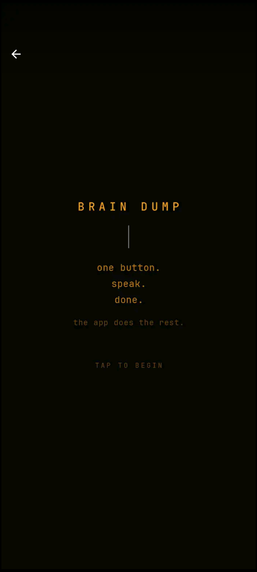 Brain Dump gallery image