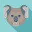 Koalas