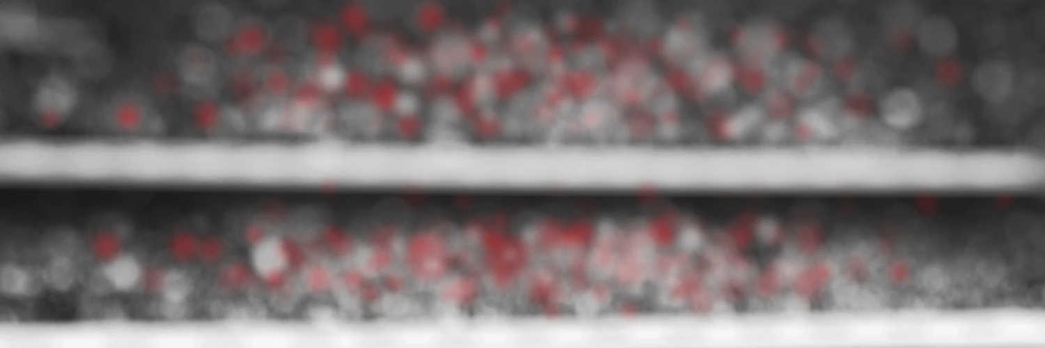 Fareed Mosavat cover