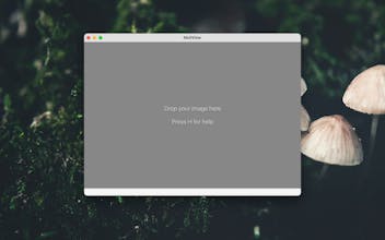 MoliView gallery image