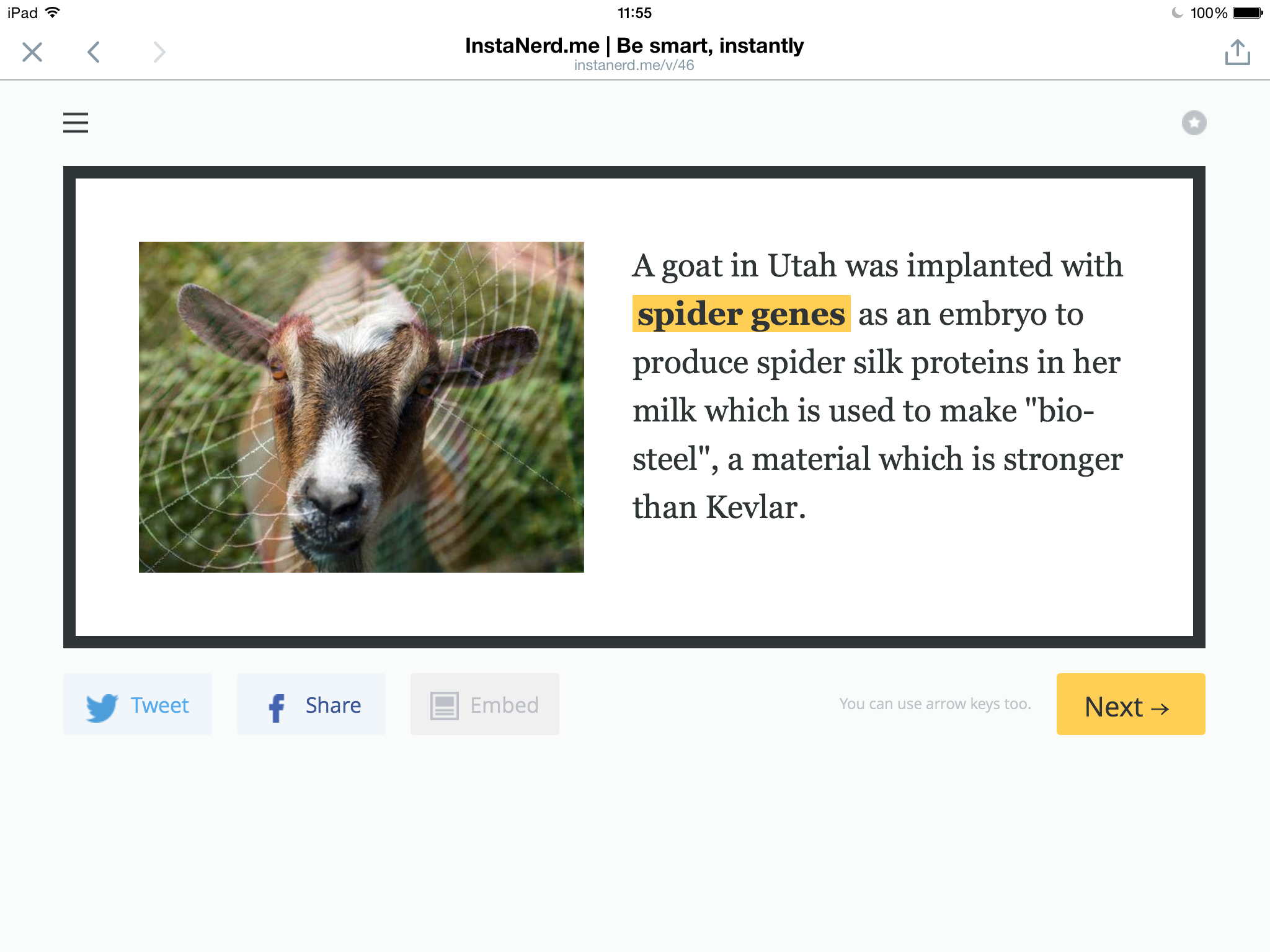 InstaNerd gallery image