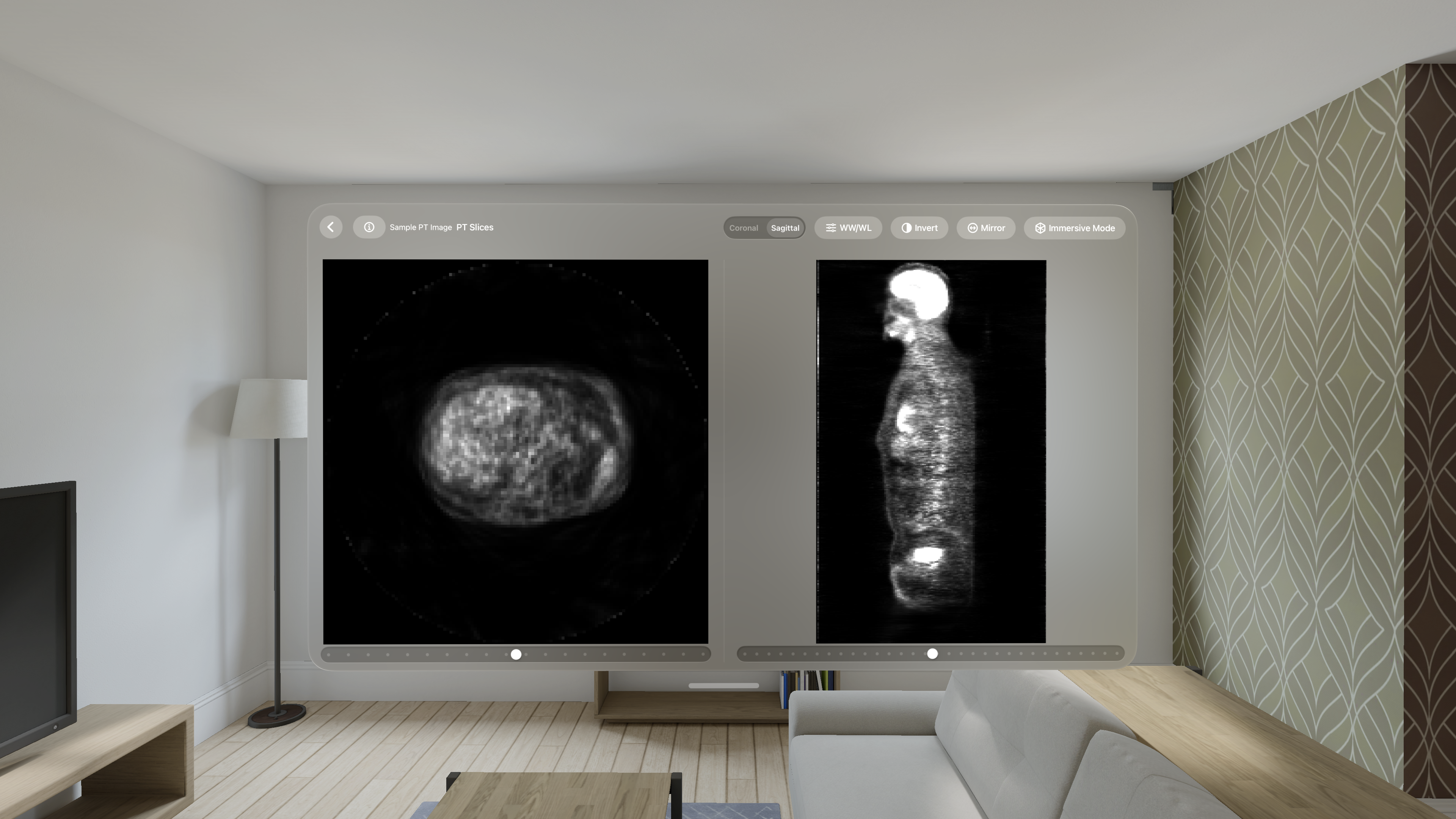 VoxelVision - DICOM Viewer gallery image