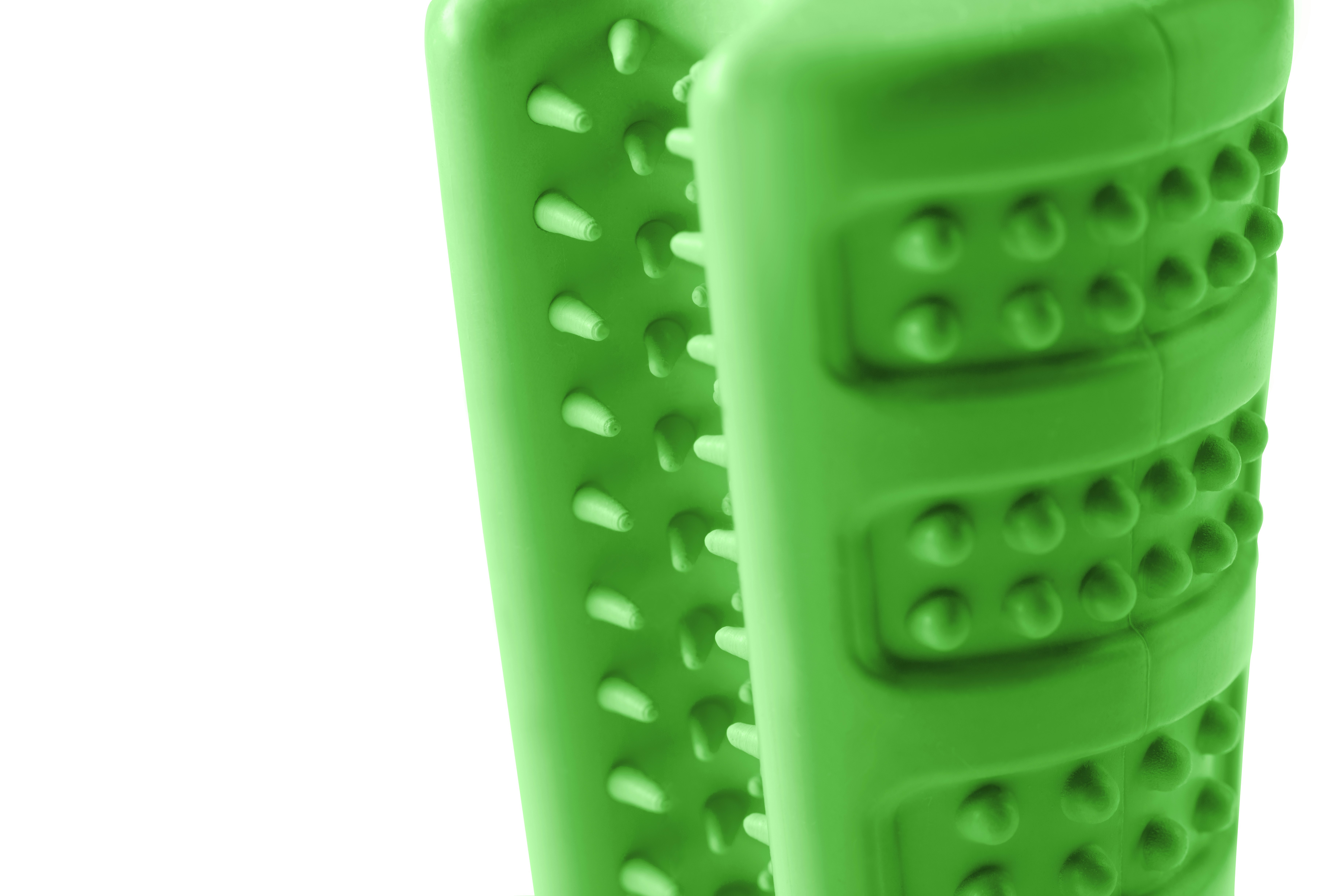 Bristly gallery image