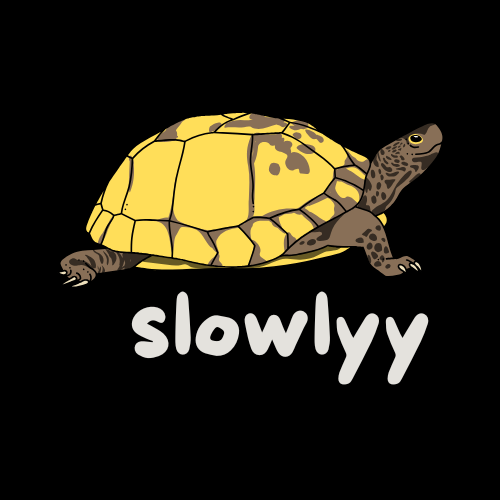 Slowlyy — Slower (Safer) Crypto Wallet