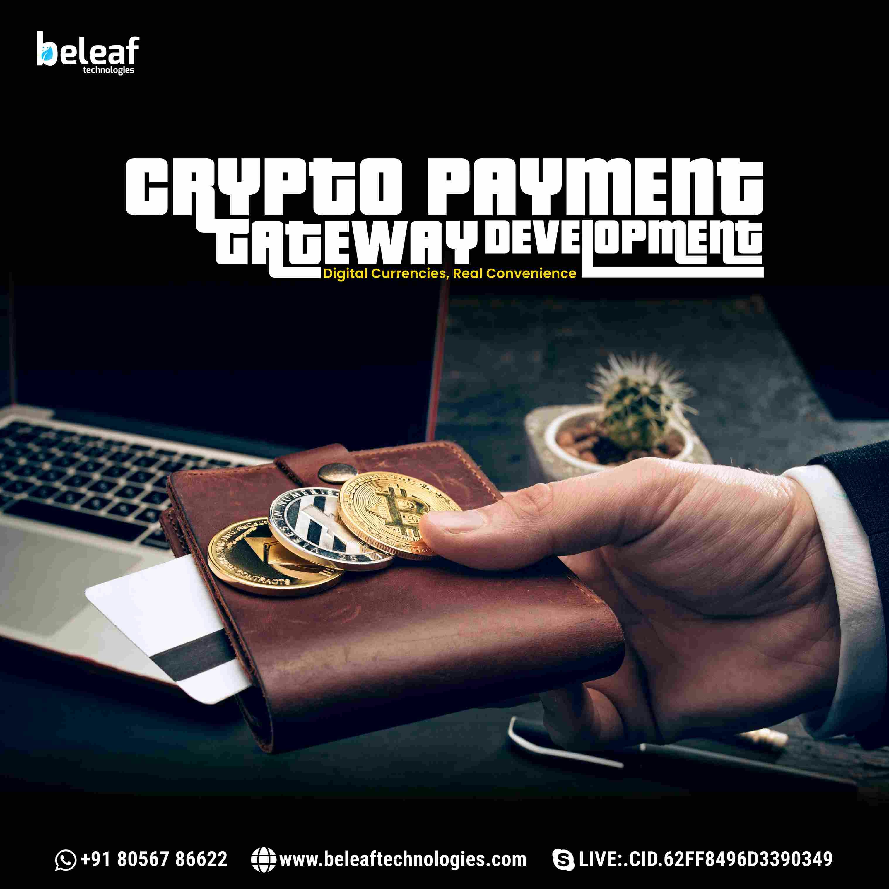 Crypto Payment Gateway -Entwicklung