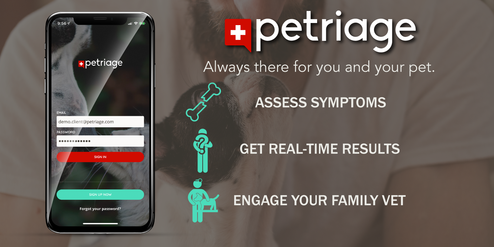 Petriage gallery image