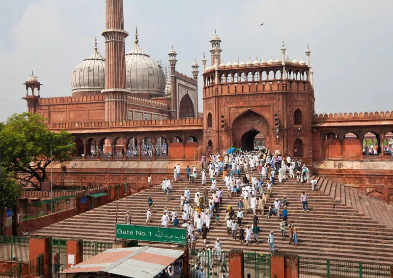 India Golden Triangle Tour screenshot 8
