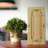 The Luminous Electronic Bargraph Nixie Clock