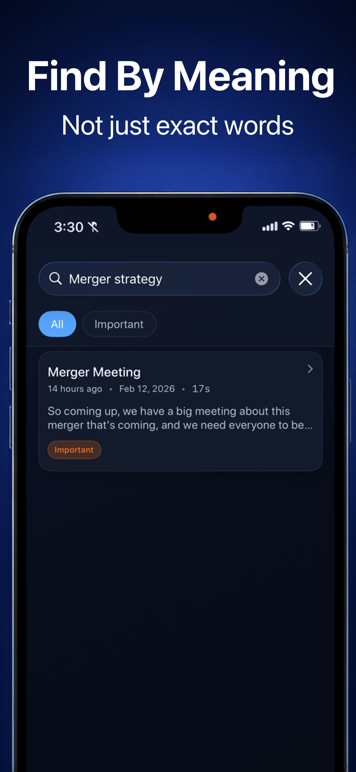 Local Voice Notes - Screenshot 3 showing product features and functionality