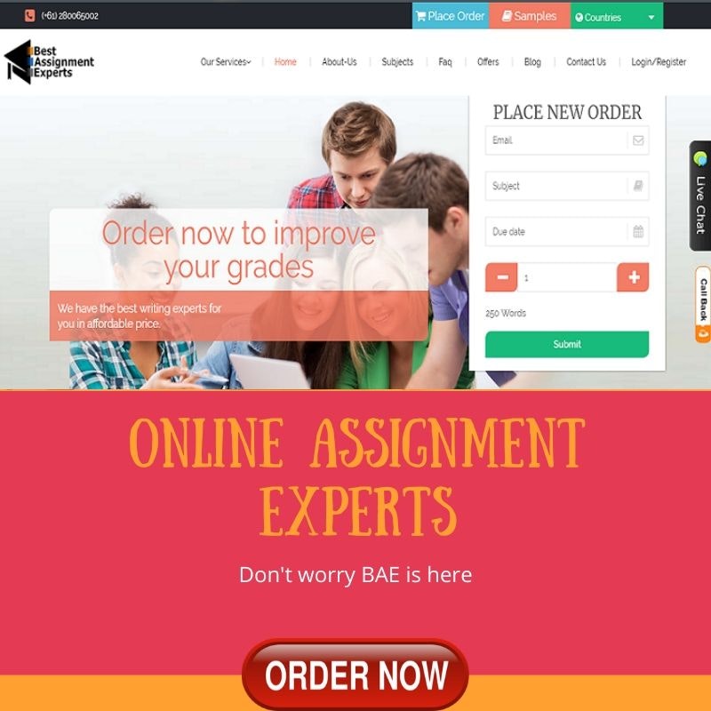 Best Assignment Experts Secure A+ Grade 