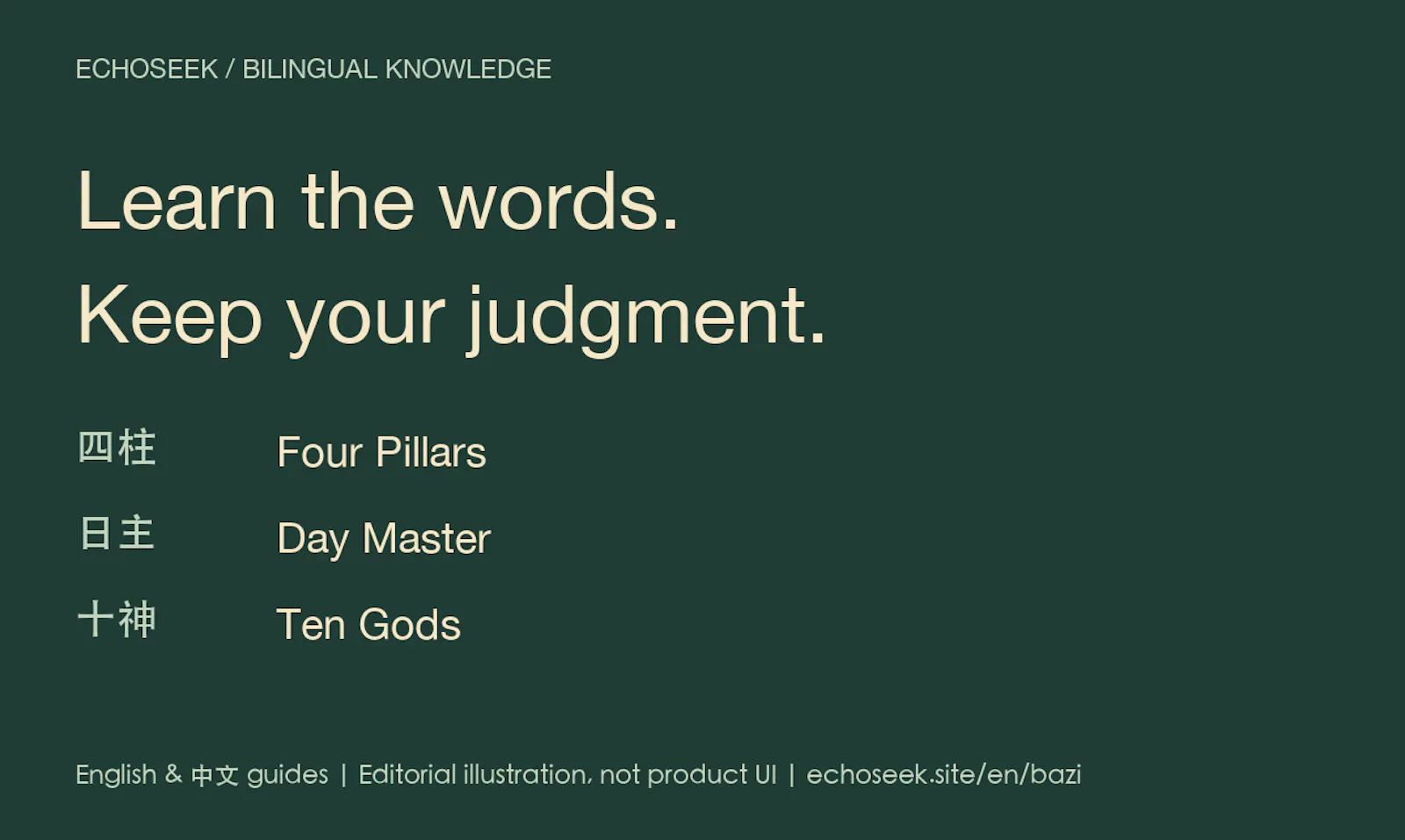 EchoSeek screenshot 1