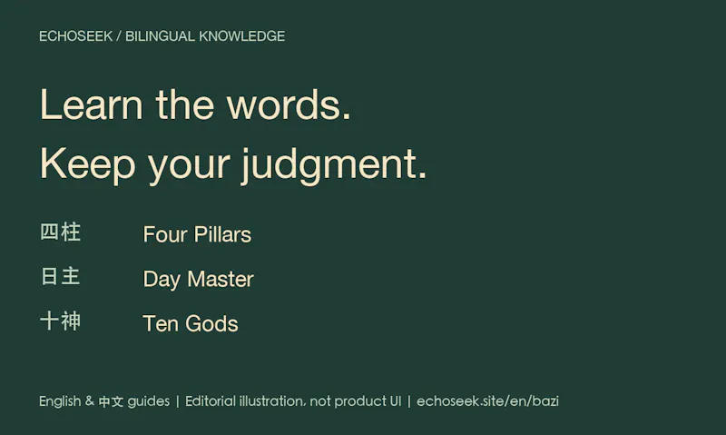 EchoSeek screenshot 1