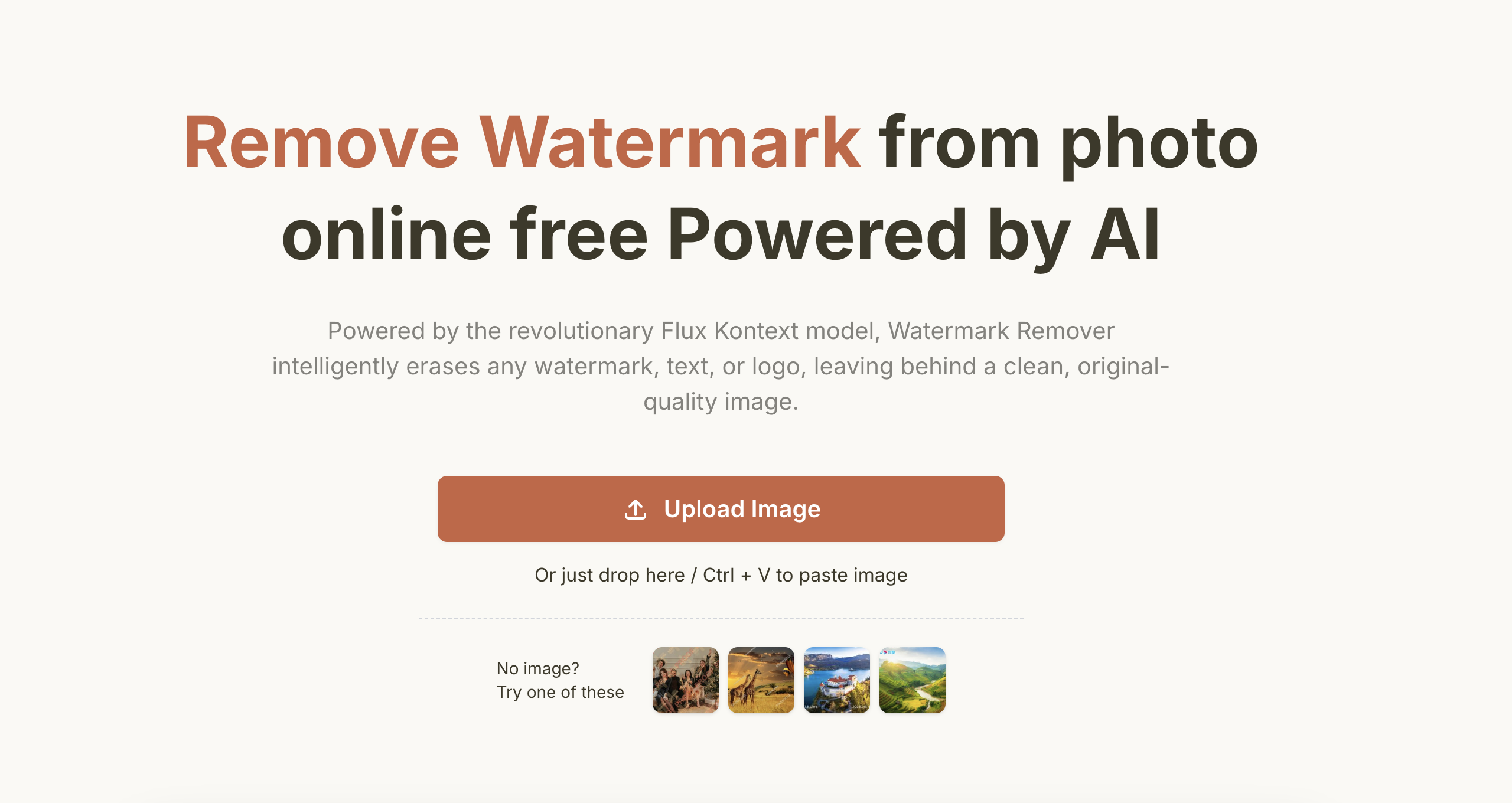 Remove Watermark from Photo for Free gallery image