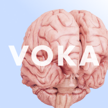 Voca Anatomy Pro