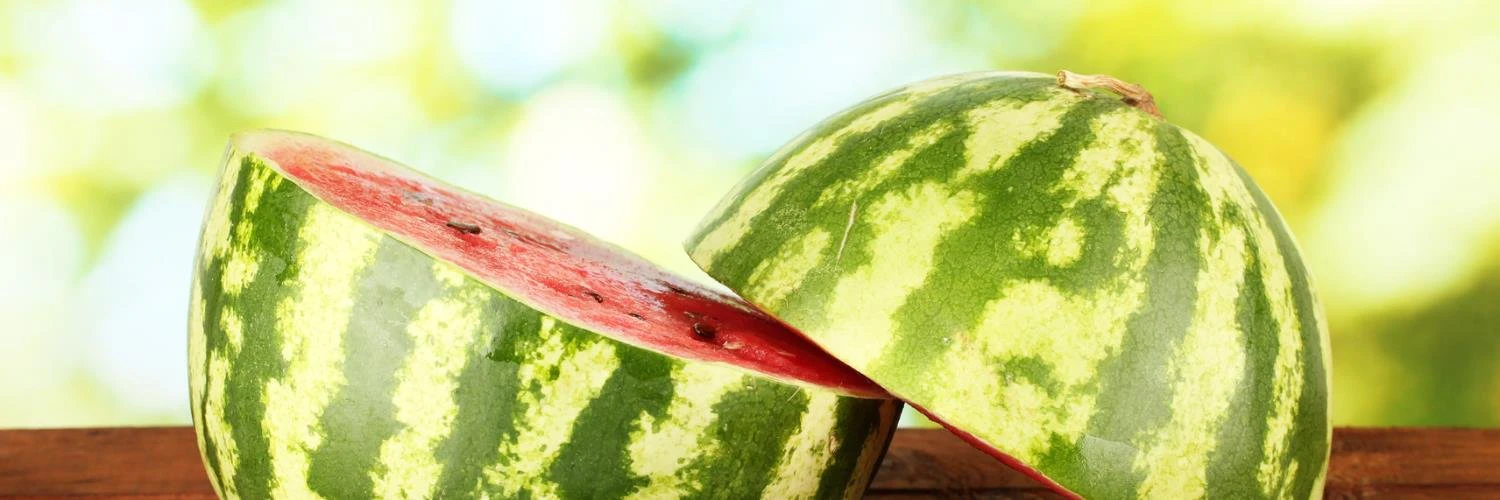 Alan Mendelevich cover