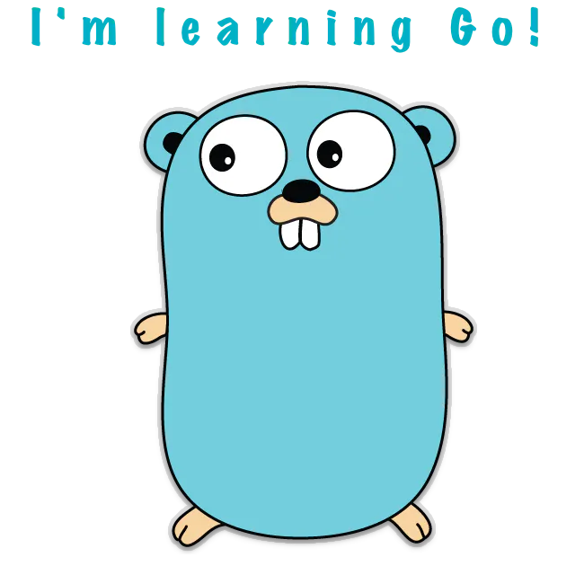 Learn Go Programming - Visual Guides & Tutorials