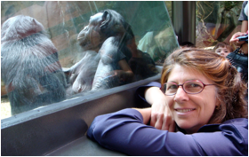 Meet Your Happy Chemicals gallery image