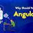 AngularJS Online Certification Course