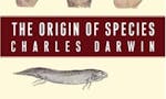 The Origin of Species image